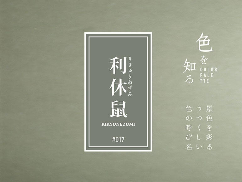 色を知る COLOR PALETTE #017 利休鼠（りきゅうねずみ） 景色を彩るうつくしい色の呼び名