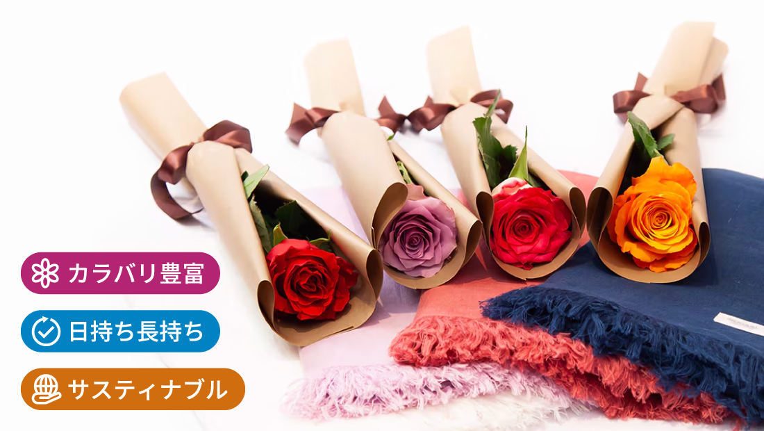 AFRIKA ROSE　アフリカローズの特徴