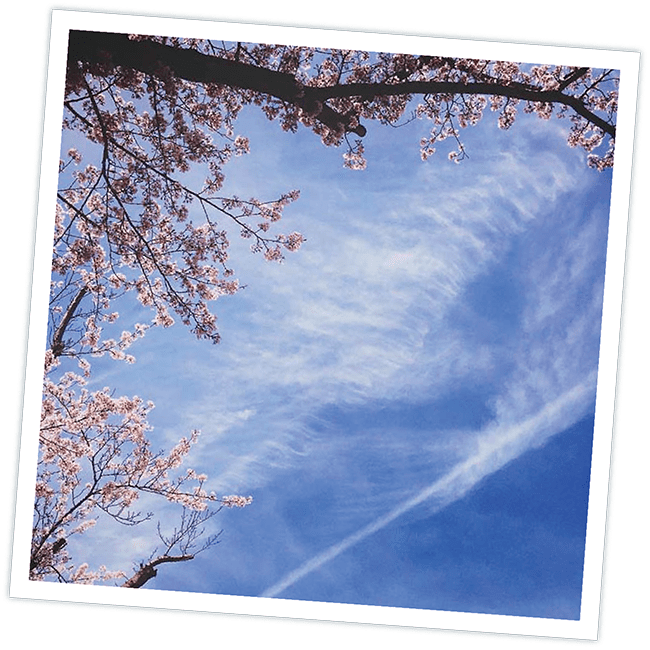 巻雲(けんうん)"