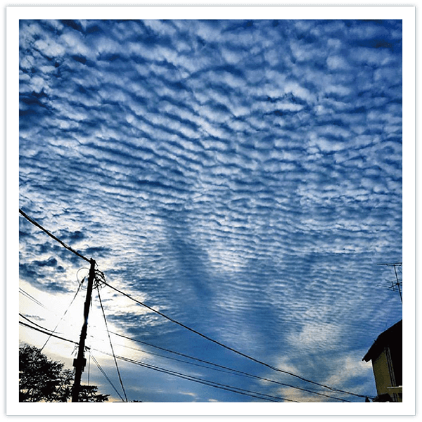 波状雲(はじょううん)