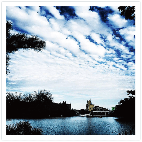 波状雲(はじょううん)