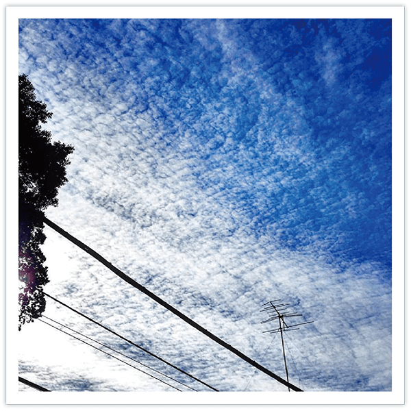 巻積雲(けんせきうん)