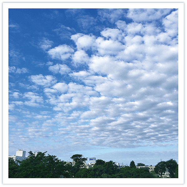 高積雲(こうせきうん)