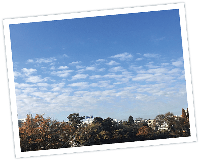 高積雲(こうせきうん)