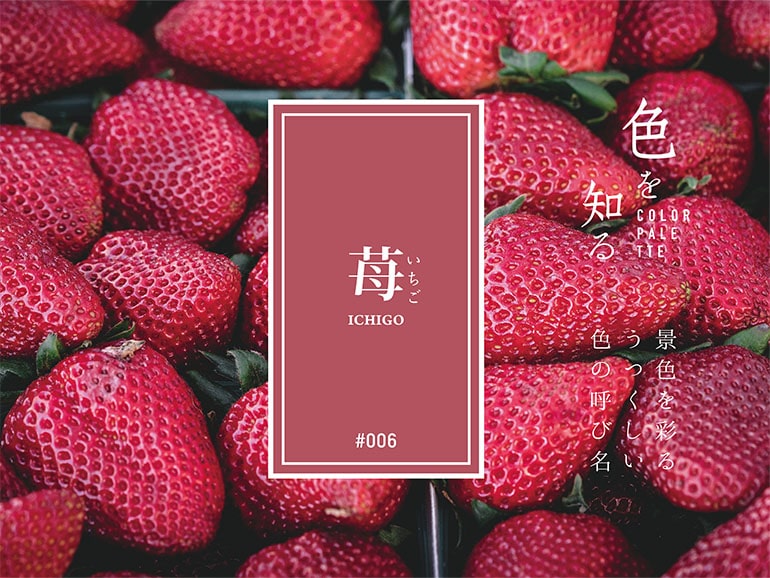 色を知る COLOR PALETTE #006 苺（いちご） 景色を彩るうつくしい色の呼び名