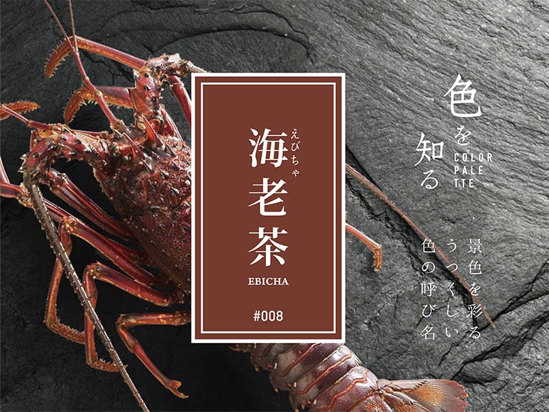色を知る COLOR PALETTE #008 海老茶（えびちゃ） 景色を彩るうつくしい色の呼び名
